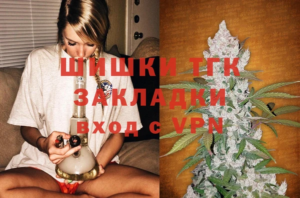 шишки Армянск