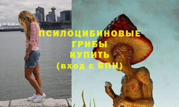 каннабис Арсеньев