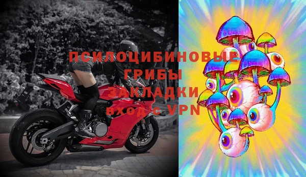 шишки Армянск
